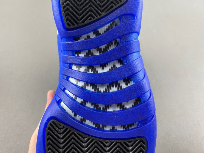 Air Jordan 12 “Blueberry” 2024 CT8013-140